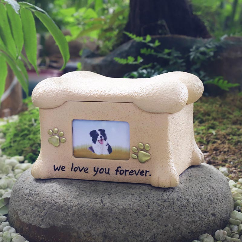 Pet Memorial URNS သည်ချစ်ခြင်းမေတ္တာနှင့်မိတ်ဆွေဖွဲ့ရန်ခွင့်ပြုသည်